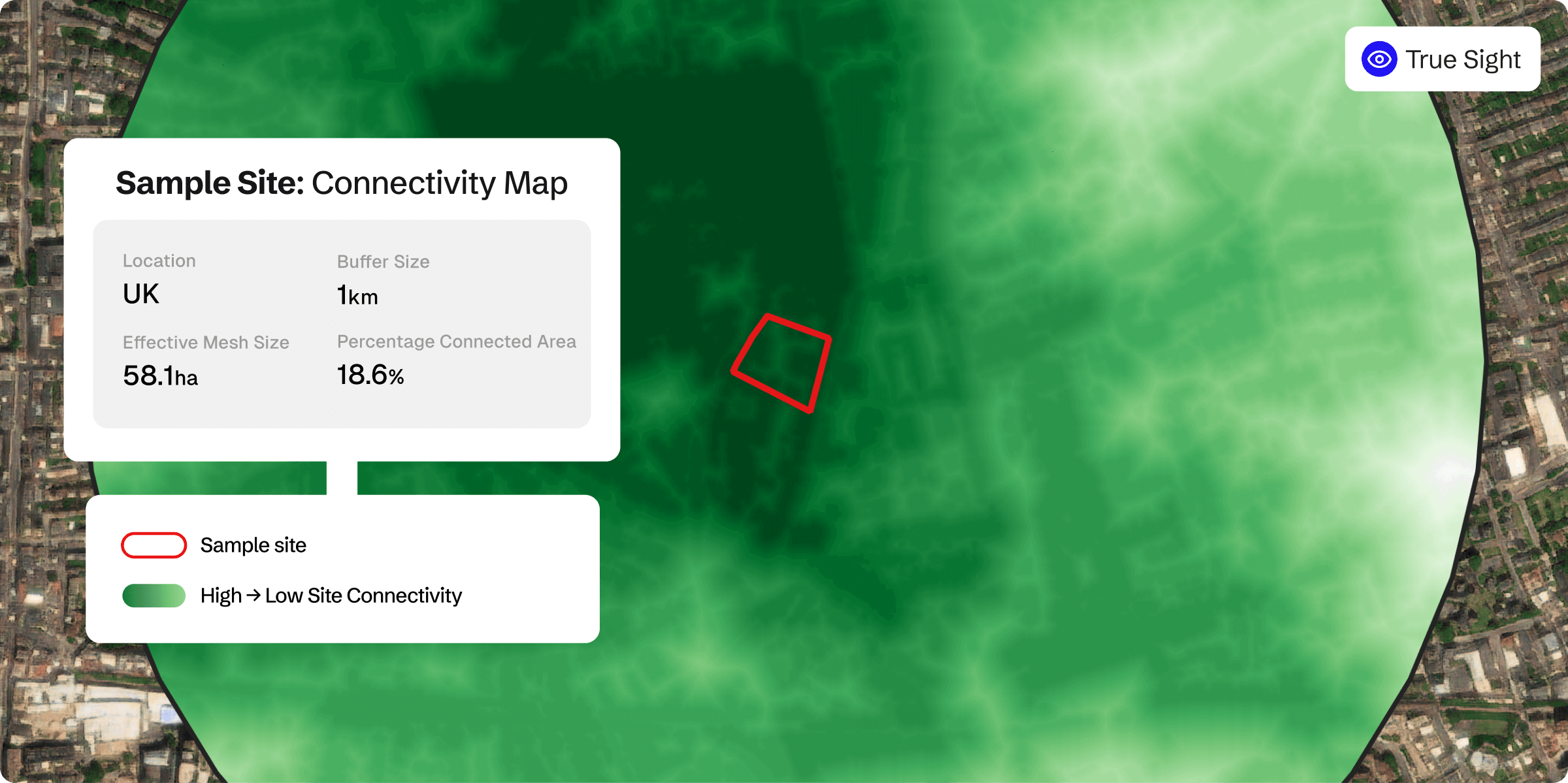 screenshot of Gentian True Sight